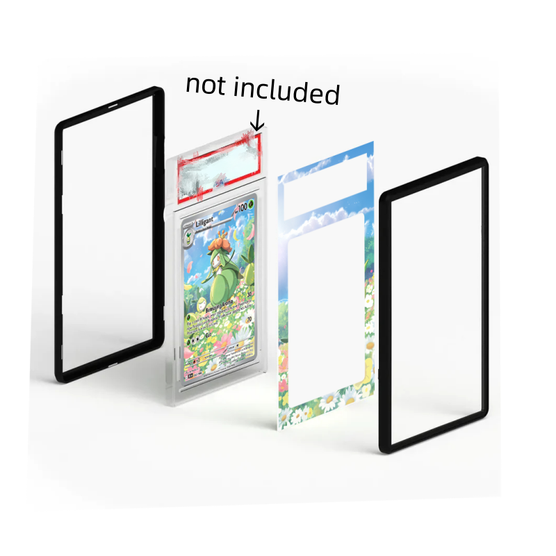 Anime-Karte One Piece Tashigi  – Vintage Items Collection Bewertung und Preis